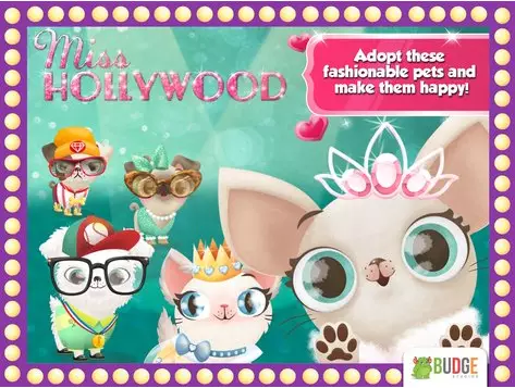 miss hollywood fashion pets