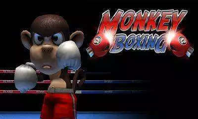 monkey boxing