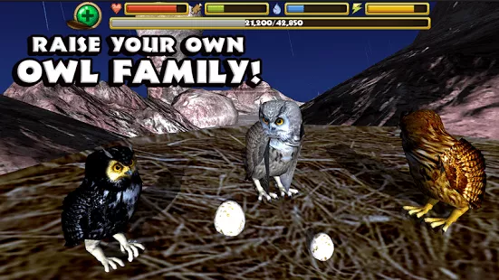  Owl Simulator APK