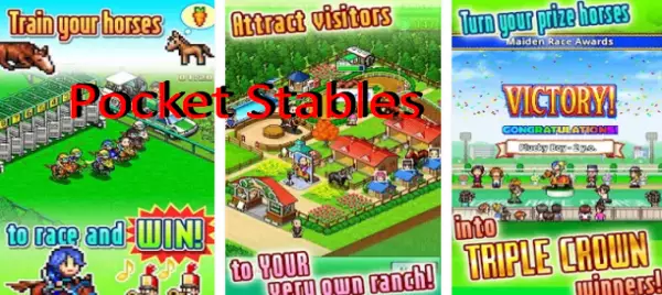 pocket stables