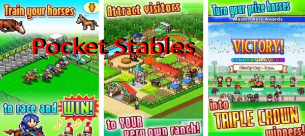 pocket stables