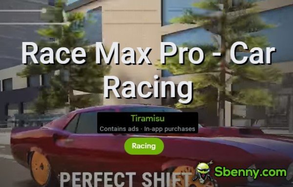 Race Max Pro Autorennen