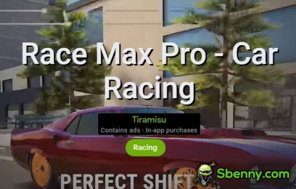 race max pro car racing