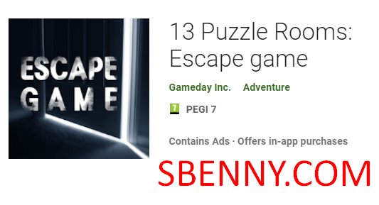 13 puzzle rooms escape game