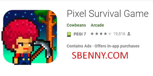 Pixel-Überlebensspiel