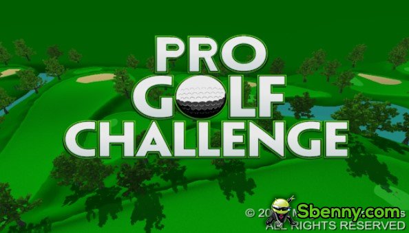 sfida di golf pro