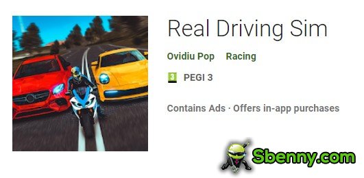 real driving sim