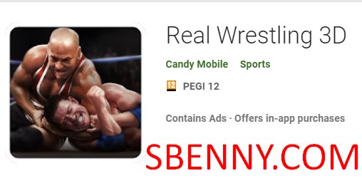 real wrestling 3d