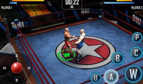Gameplay screenshot from real wrestling 3d for Android