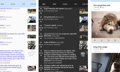 Gameplay screenshot from reddit is fun golden platinum for Android