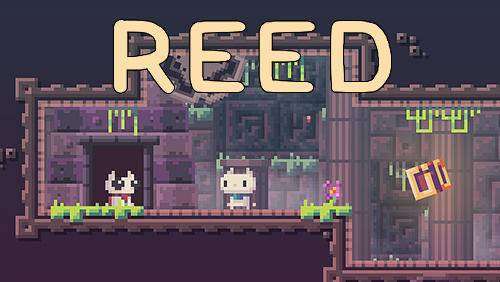 reed