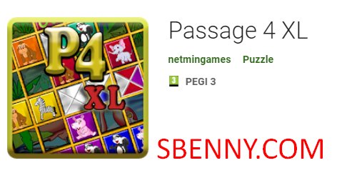  Passage 4 XL