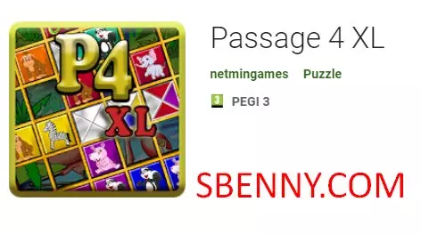 passage 4 xl