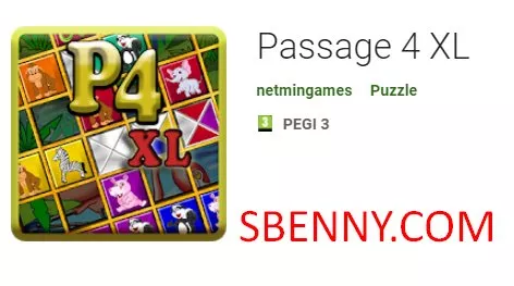passage 4 xl