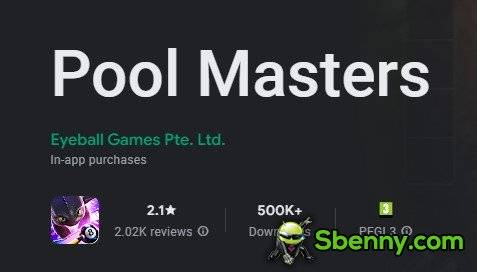 pool masters