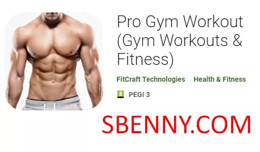 pro gym workout gym workouts and fitness