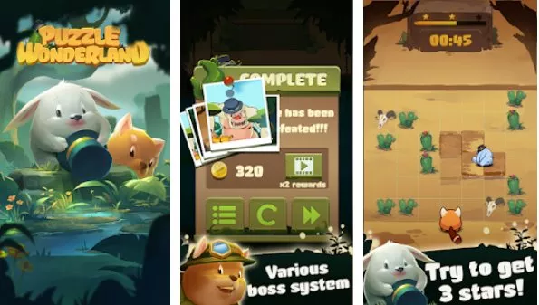 Puzzle Wonderland