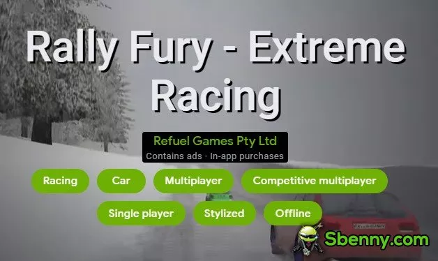  Rally Fury - Extreme Racing