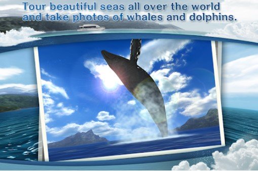 Gameplay screenshot from real whales find the cetacean for Android