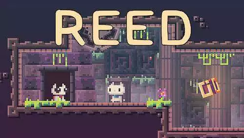 reed