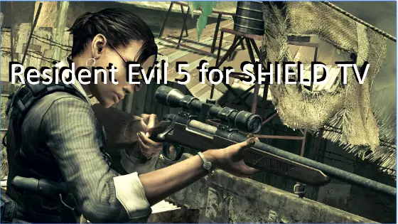  Resident Evil 5