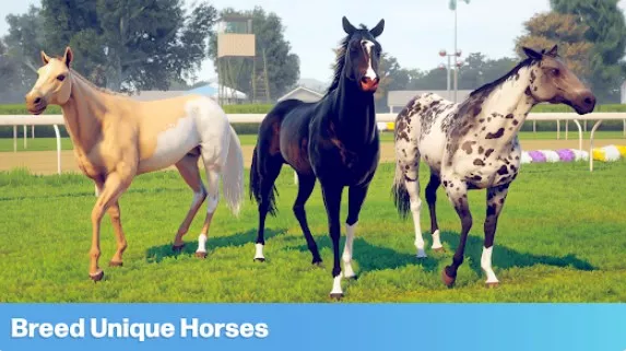 Gameplay screenshot from rival stars horse racing for Android