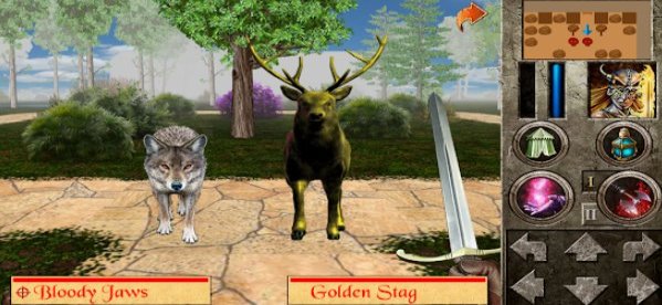 Gameplay screenshot from the quest caerworn castle for Android