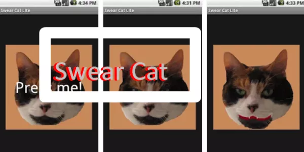 swear cat