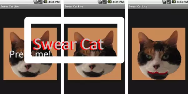 swear cat