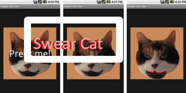 swear cat
