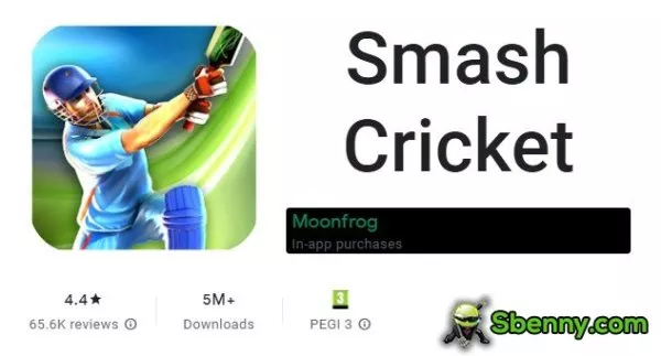 smash cricket