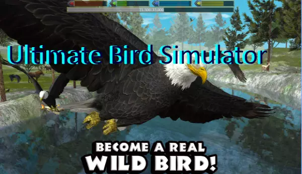 ultimate bird simulator
