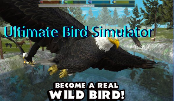 ultimate bird simulator