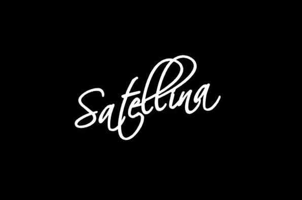  Satellina APK