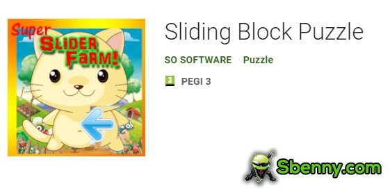 sliding block puzzle
