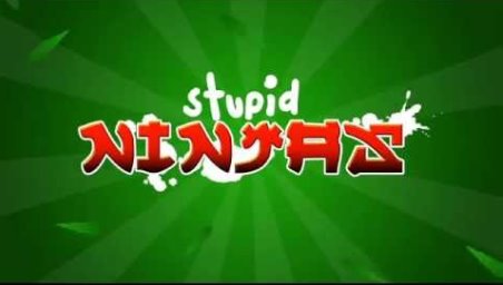 stupid ninjas