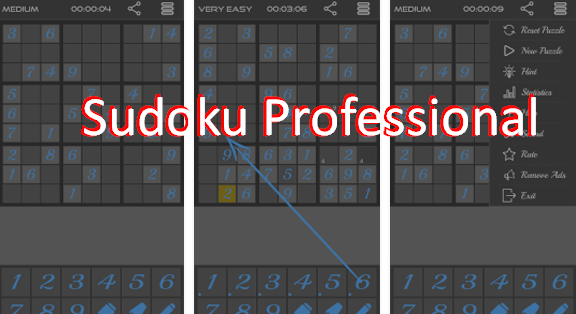 sudoku professjonali
