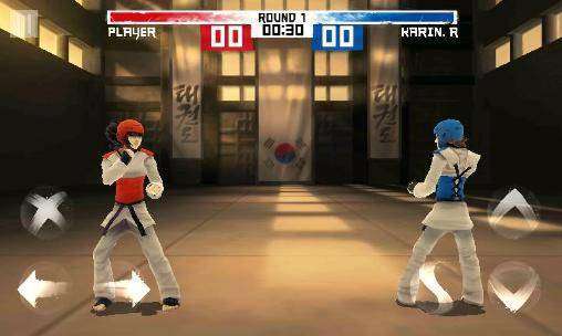 Gameplay screenshot from taekwondo game for Android