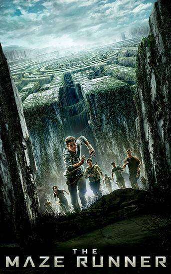  The Maze Runner
