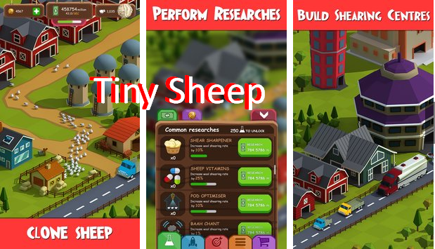 tiny sheep