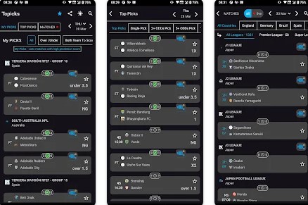 Gameplay screenshot from topicks real prediction tips for Android