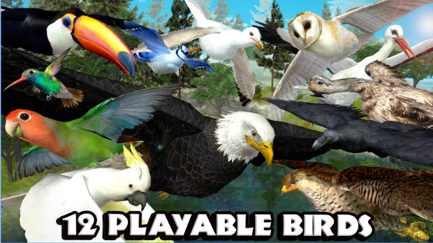 Gameplay screenshot from ultimate bird simulator for Android