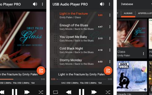 Gameplay screenshot from usb audio player pro for Android