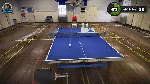Table Tennis Touch