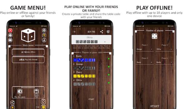 Gameplay screenshot from schocken the dice game pro for Android