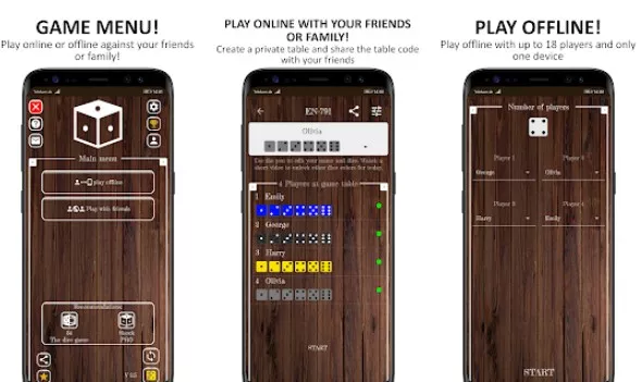 Gameplay screenshot from schocken the dice game pro for Android