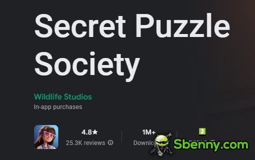 secret puzzle society