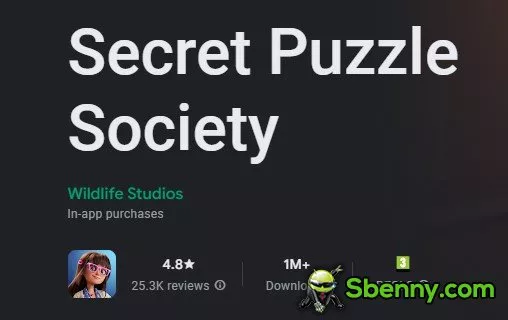 secret puzzle society