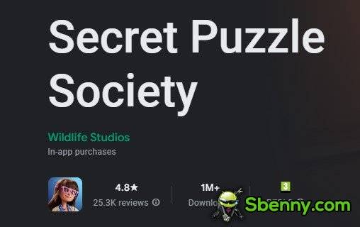 secret puzzle society