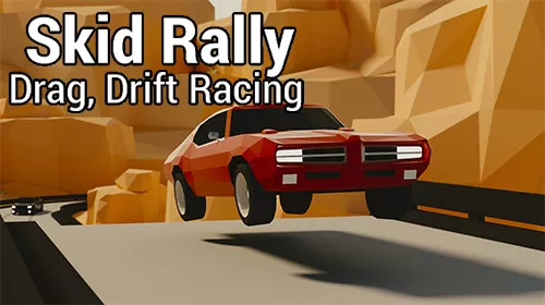skid rally drag drift racing